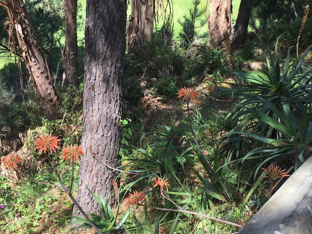 Altavista Islantilla Golf By Msholidays 外观 照片